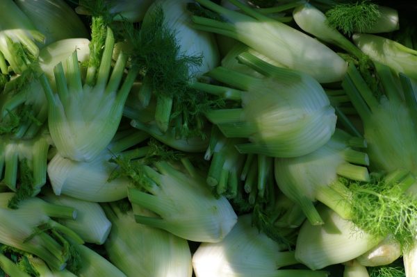 Paniers de légumes