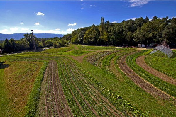 Visite des Jardins de Mamajah