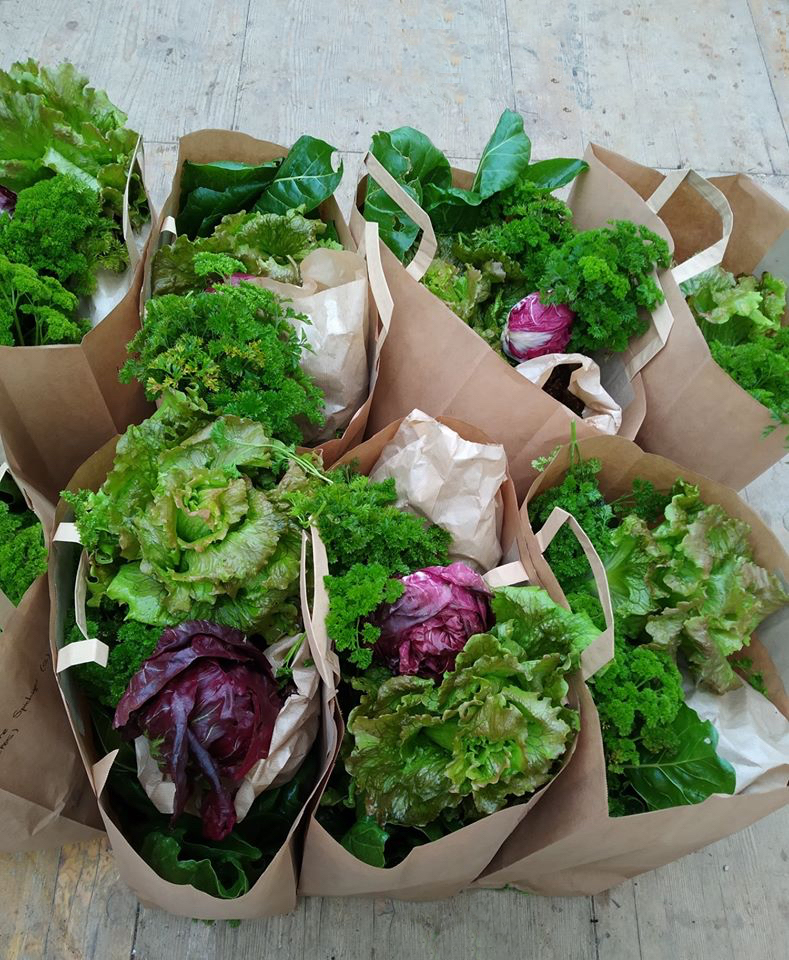 Paniers de légumes