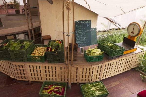 Paniers de légumes