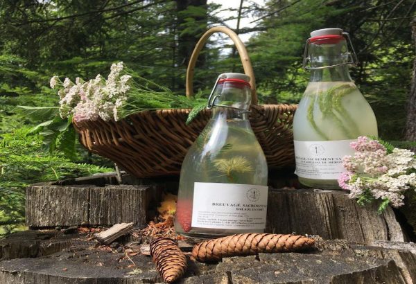 'Sacrément Sauvage' : Breuvages (Copie)